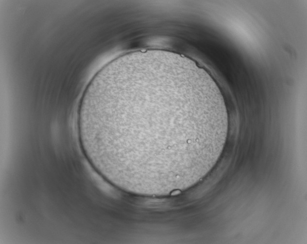 X0000113871439200910221325