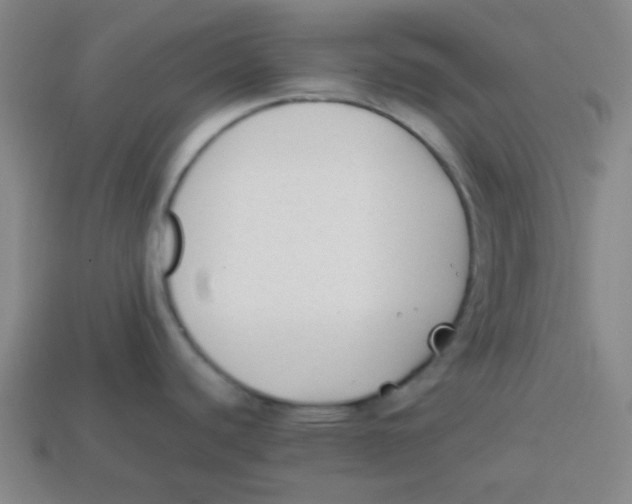 X0000113871440200910221325