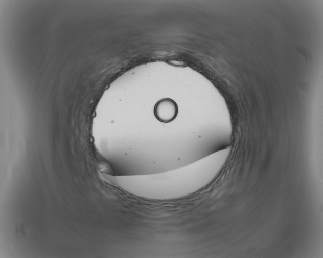 X0000113871441200910221325