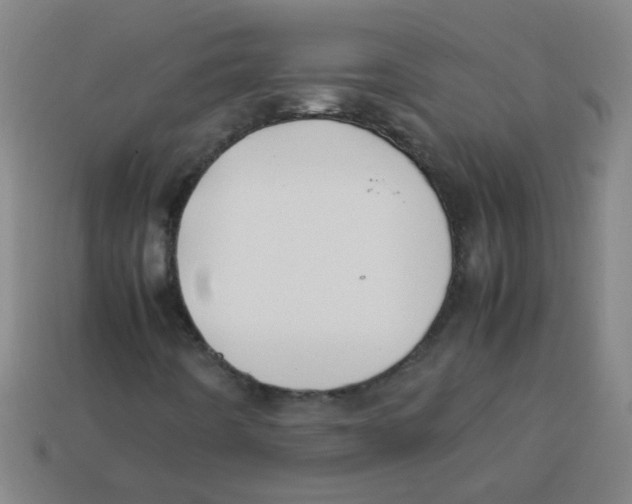 X0000113871442200910221325