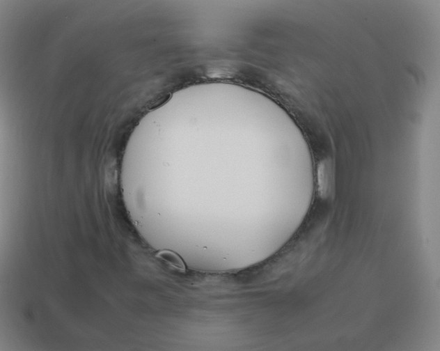 X0000113871443200910221325