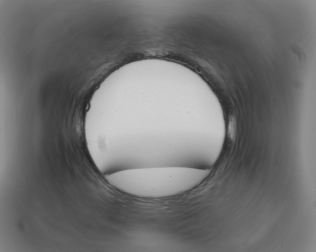 X0000113871444200910221325