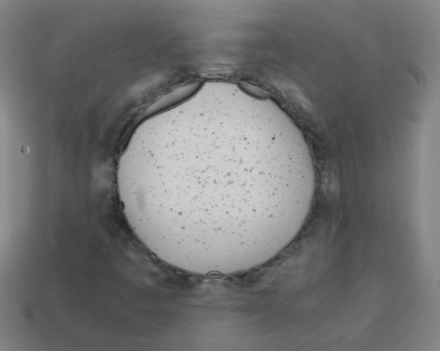 X0000113871445200910221325