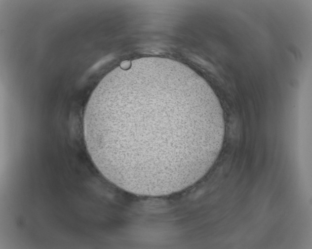 X0000113871446200910221325