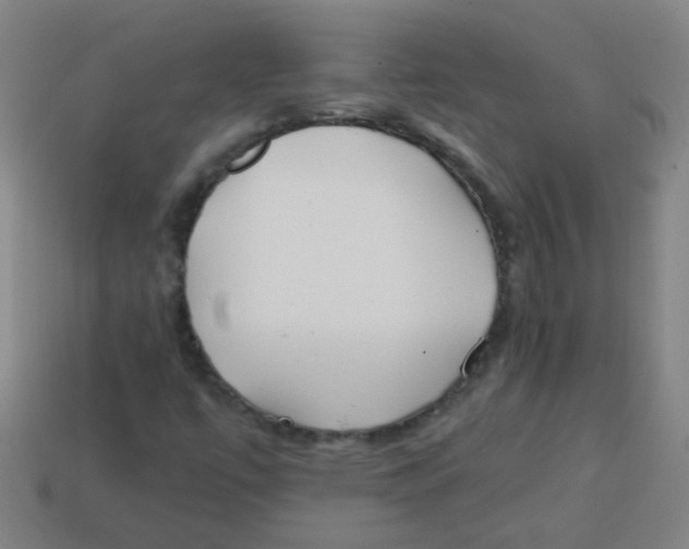 X0000113871447200910221325