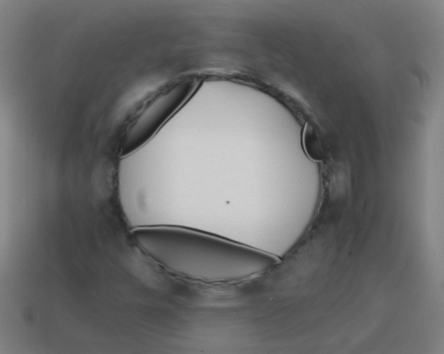 X0000113871448200910221325