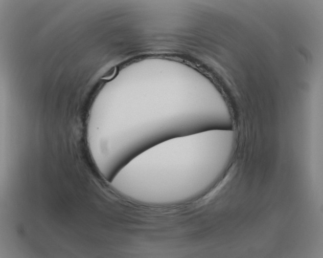 X0000113871449200910221325