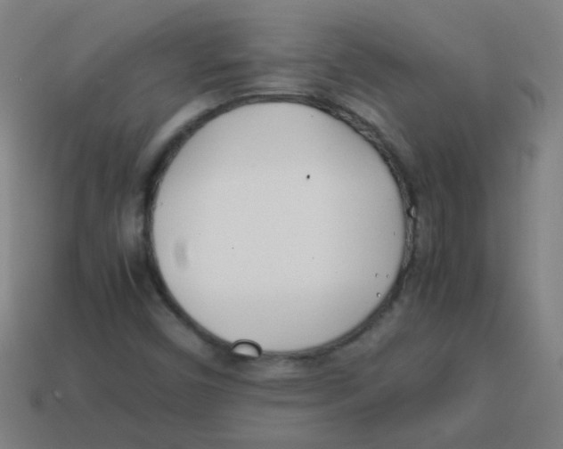 X0000113871450200910221325