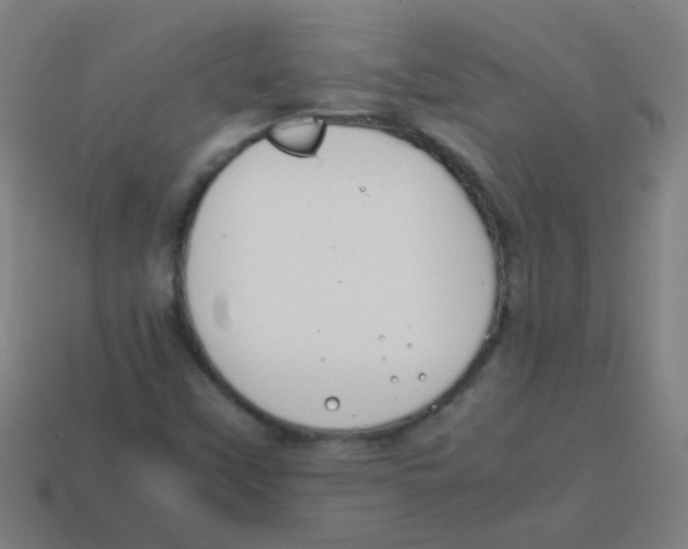 X0000113871451200910221325