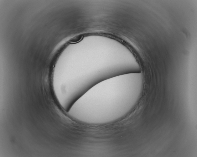 X0000113871452200910221324