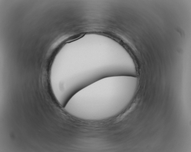 X0000113871453200910221324