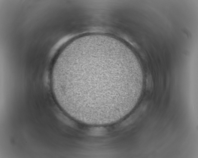 X0000113871454200910221324