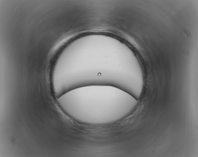 X0000113871456200910221324