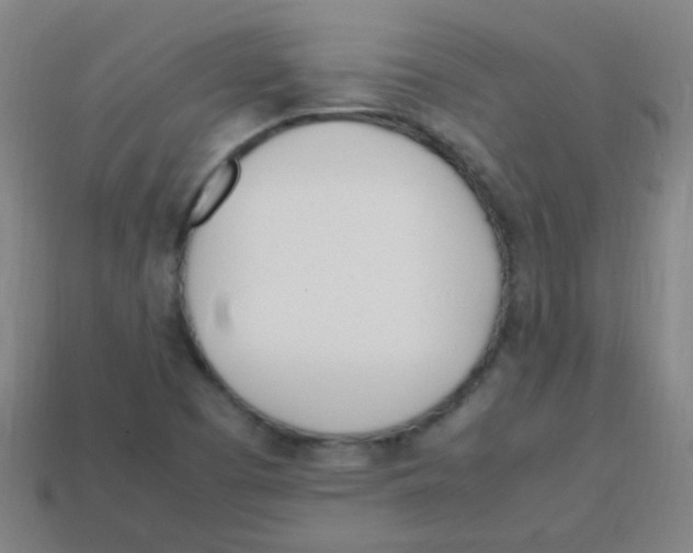 X0000113871457200910221324