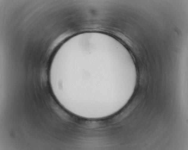 X0000113871458200910221324