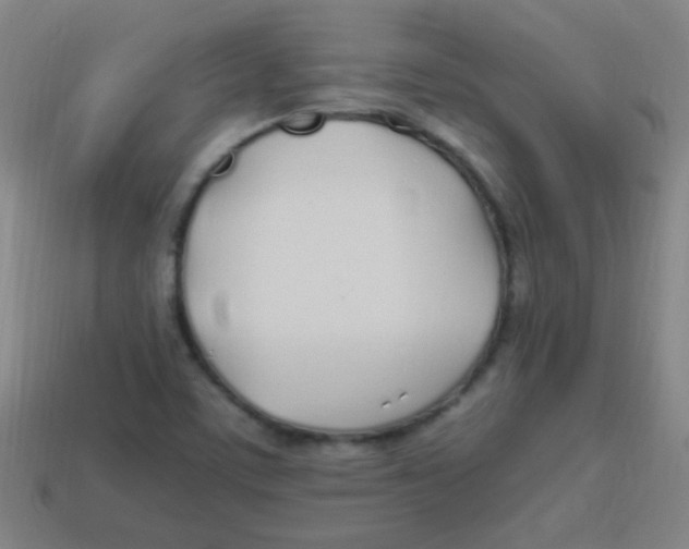 X0000113871459200910221324