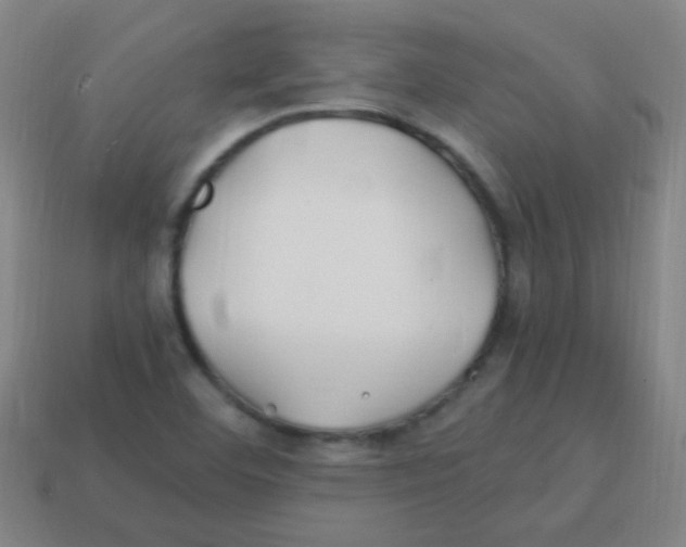 X0000113871460200910221324