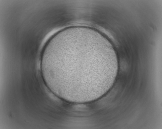 X0000113871462200910221324