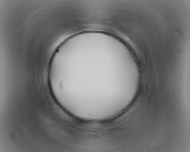 X0000113871463200910221324