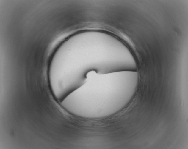 X0000113871464200910221324