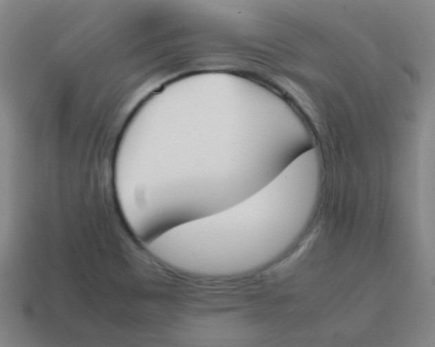 X0000113871465200910221324