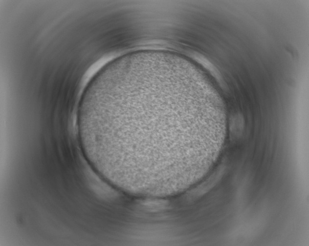 X0000113871466200910221324