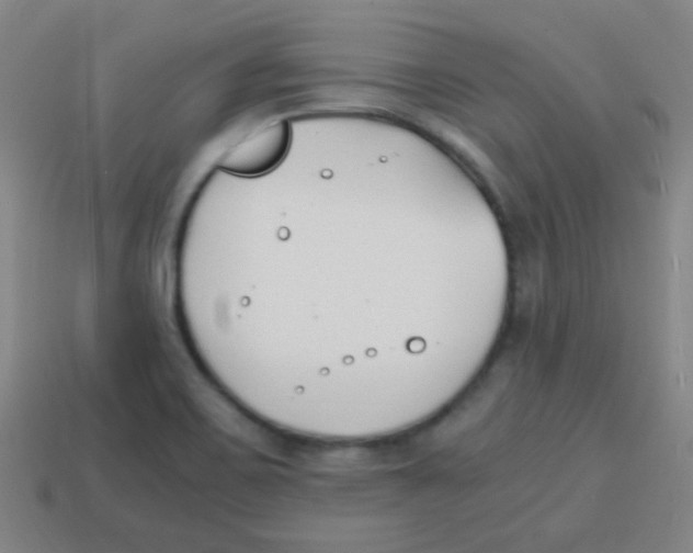 X0000113871467200910221324