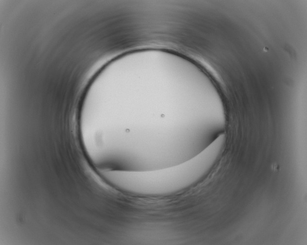 X0000113871468200910221324