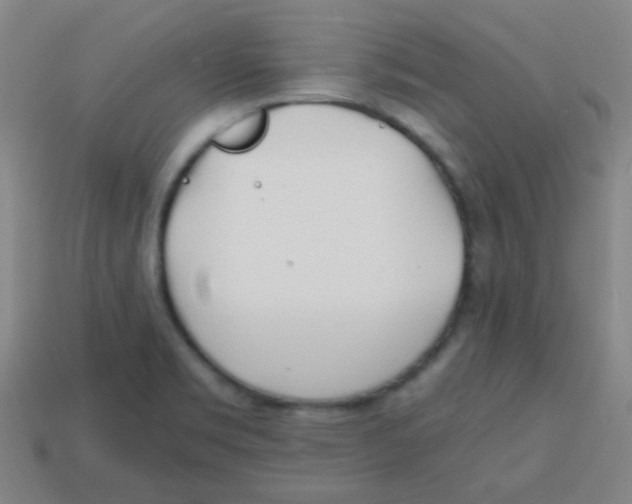 X0000113871469200910221324