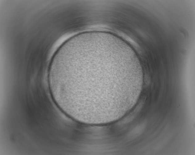 X0000113871470200910221324