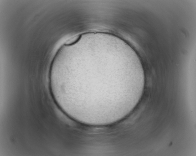 X0000113871471200910221324