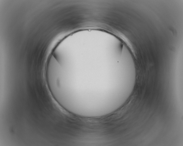 X0000113871472200910221324