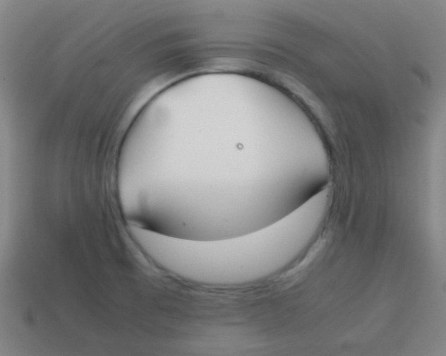 X0000113871473200910221324