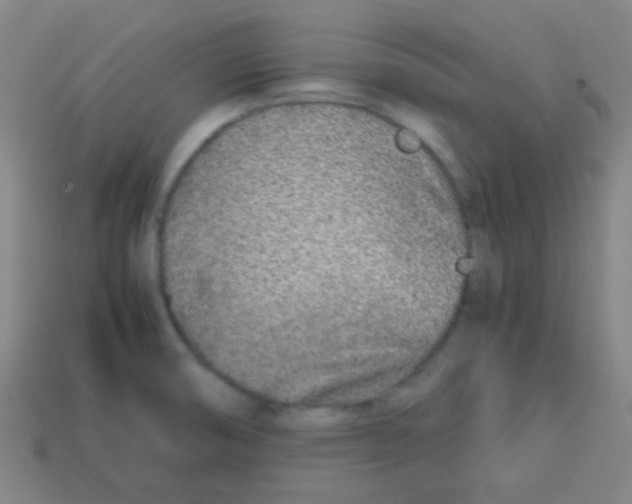 X0000113871474200910221324