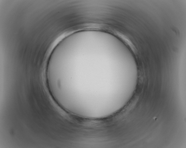 X0000113871475200910221324