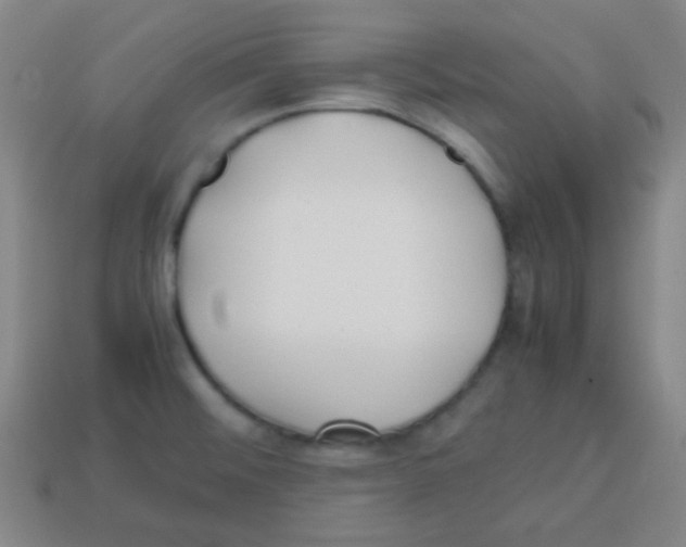 X0000113871476200910221324