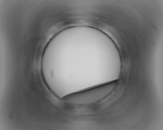 X0000113871477200910221324