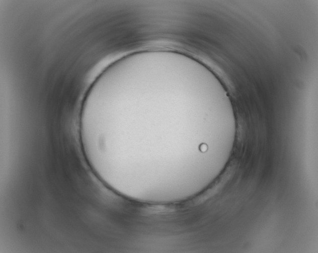 X0000113871478200910221324