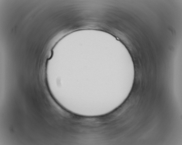 X0000113871479200910221324