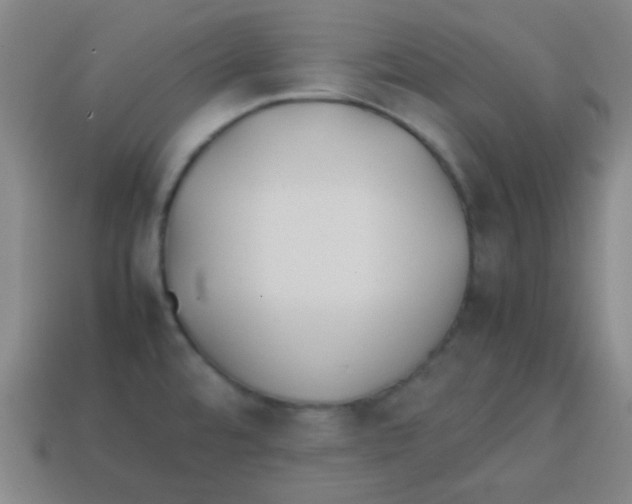 X0000113871480200910221324