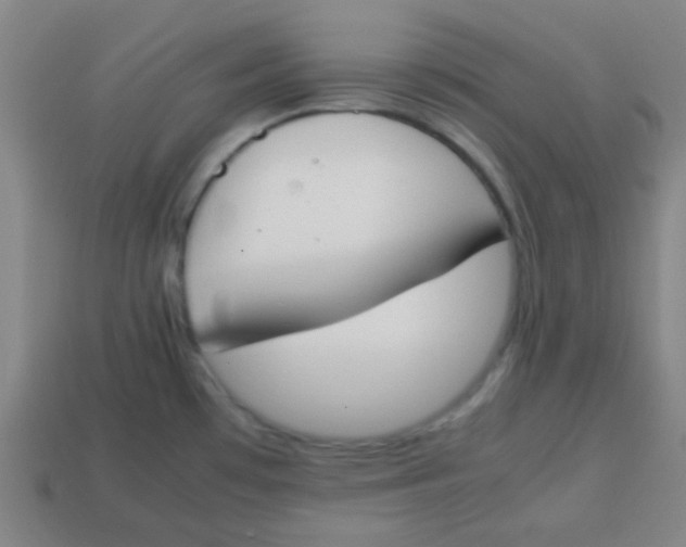 X0000113871481200910221324