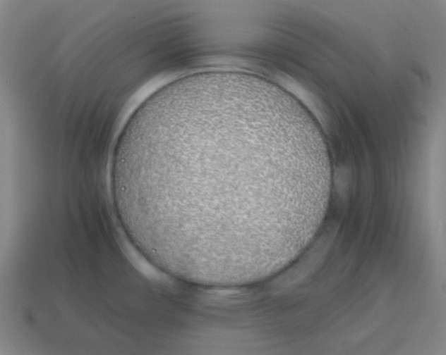 X0000113871482200910221324