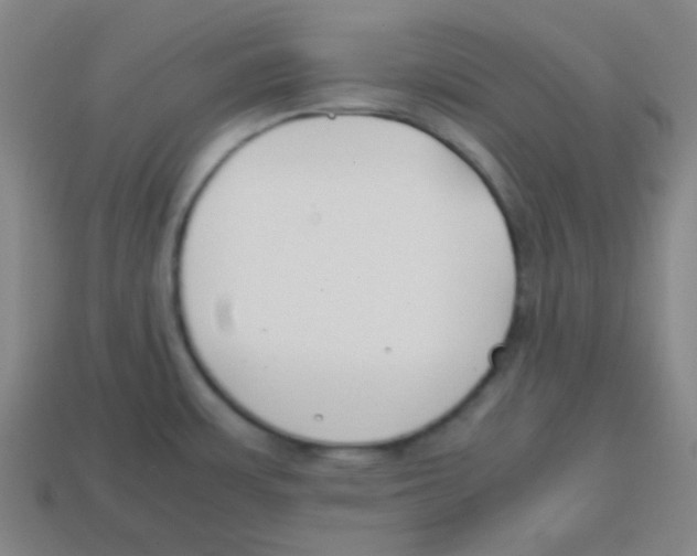 X0000113871483200910221324