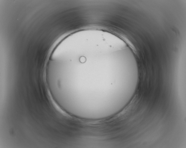 X0000113871484200910221324