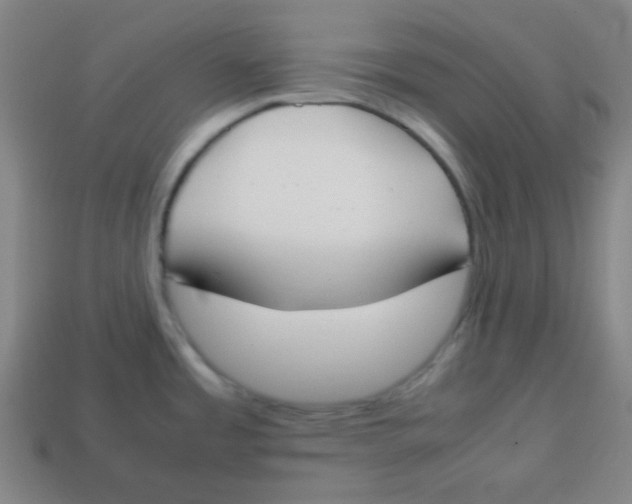 X0000113871485200910221324