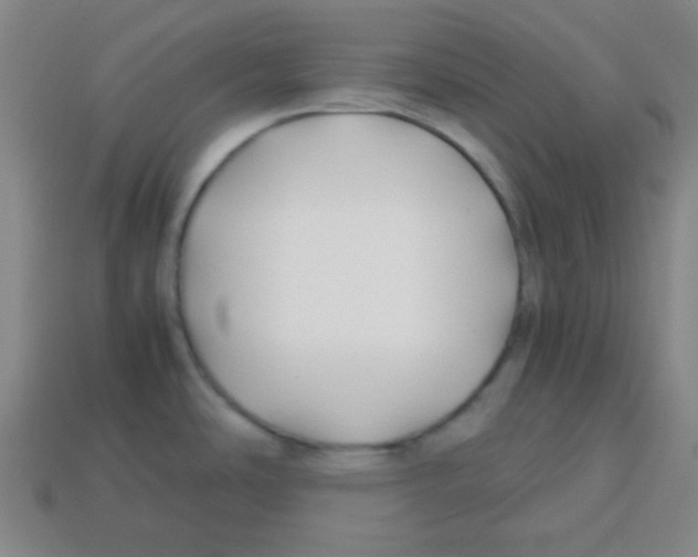 X0000113871486200910221324