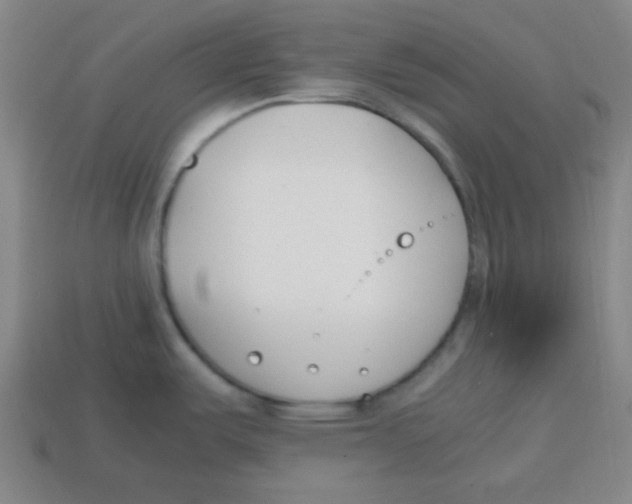 X0000113871487200910221324