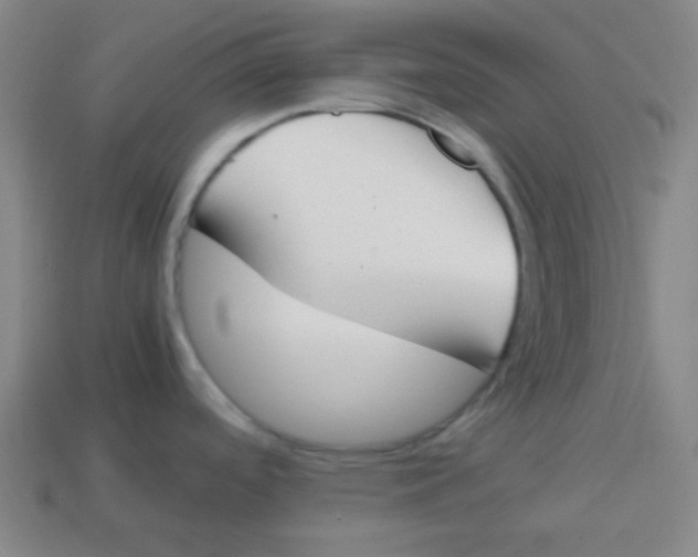 X0000113871488200910221324