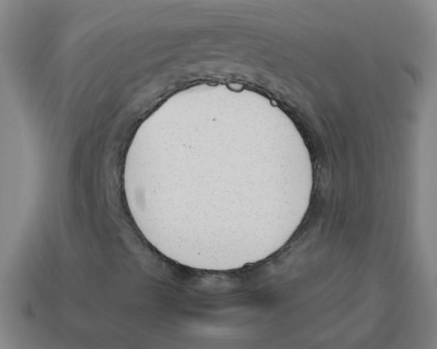 X0000113871489200910221323