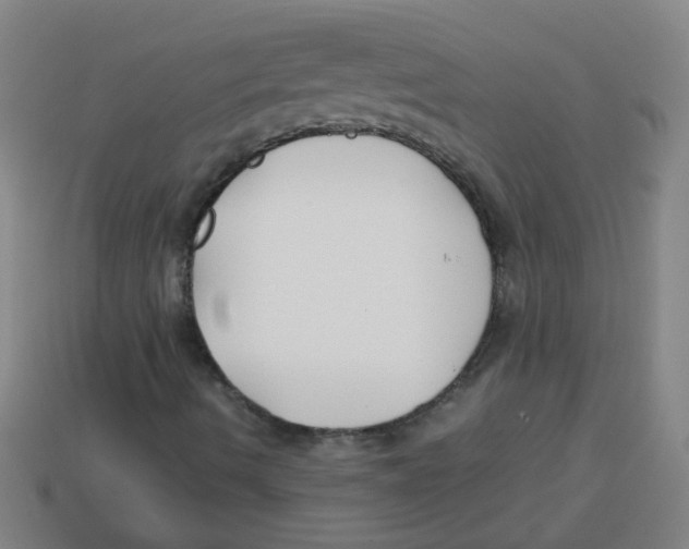 X0000113871490200910221323